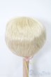 画像2: ウィッグ/6-7inch S-25-03-04-366-GN-ZS (2)
