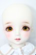 画像2: SDM女の子/コーディネートモデルF-50 S-25-02-23-400-GN-ZS (2)
