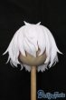 画像1: レジンウィッグ/9inch S-25-04-13-461-GN-ZS (1)