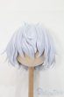 画像1: レジンウィッグ/9inch S-25-04-13-462-GN-ZS (1)