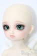 画像3: 幼天使/キラ S-25-08-10-471-GN-ZS (3)