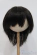 画像1: 8-9inch/ウィッグ S-25-03-04-304-GN-ZS (1)