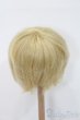 画像2: 9inch/ウィッグ S-25-03-02-368-GN-ZS (2)
