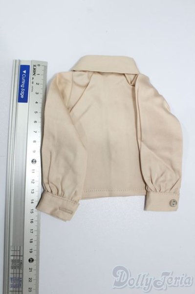 画像2: SDM＆MSD/OF:トップス S-25-11-09-473-GN-ZS (2)