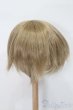 画像2: 9-10inch/ウィッグ S-25-04-13-377-NH-ZS (2)