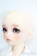 画像3: SDM/コーディネートモデルF-56 S-25-04-20-543-GN-ZS (3)