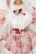 画像4: DearSD/OF:衣装セット S-25-03-23-445-GN-ZS (4)