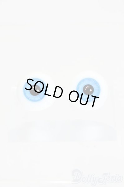 画像1: 16mm/グラスアイ S-25-11-30-496-NH-ZS (1)