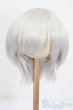 画像1: 8-9inch/ウィッグ S-25-05-04-246-NH-ZS (1)