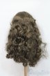 画像2: 9-10inch/ウィッグ S-25-03-23-374-GN-ZS (2)