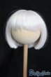 画像1: 8.5-9inch/ウィッグ S-25-05-04-232-GN-ZS (1)