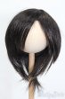 画像1: 9-10inch/ウィッグ S-25-04-13-391-GN-ZS (1)