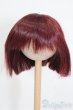 画像1: 7-8inch/ウィッグ S-25-03-04-344-NH-ZS (1)