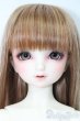 画像1: SD/フルチョイス:F-98 S-25-03-16-491-GN-ZS (1)