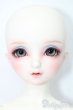 画像2: SD/フルチョイス:F-98 S-25-03-16-491-GN-ZS (2)