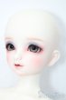 画像3: SD/フルチョイス:F-98 S-25-03-16-491-GN-ZS (3)