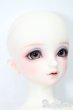 画像4: SD/フルチョイス:F-98 S-25-03-16-491-GN-ZS (4)