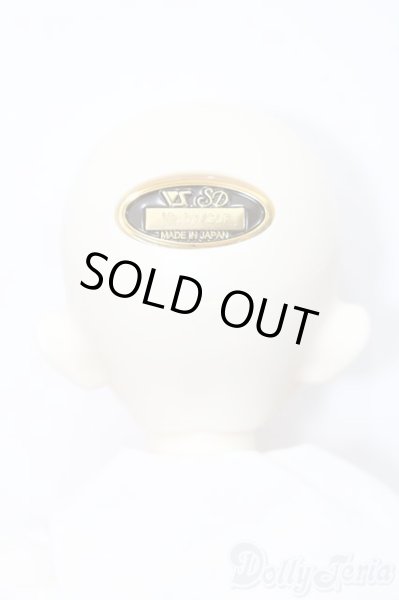 画像6: SDM女の子/のあ PSホワイトVer. S-25-06-15-721-GN-ZS (6)