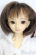 画像1: SDC女の子/楓 S-25-04-06-409-GN-ZS (1)