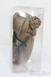 画像2: 8-9inch/ウィッグ S-25-03-30-315-GN-ZS (2)