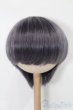 画像1: 8-9inch/ウィッグ S-25-03-30-081-GN-ZS (1)