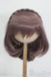 画像1: 8-9inch/ウィッグ S-25-04-27-171-GN-ZS (1)