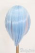 画像2: 8-9inch/ウィッグ S-25-05-25-193-GN-ZS (2)