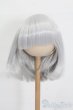 画像1: 9-10inch/ウィッグ S-25-05-25-197-GN-ZS (1)