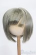 画像1: 8-9inch/ウィッグ S-25-05-18-290-GN-ZS (1)