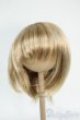 画像1: 9-10inch/ウィッグ Y-26-01-21-226-GN-ZY (1)