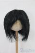 画像4: 8-9inch/ウィッグ S-25-08-03-267-GN-ZS (4)
