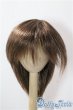 画像1: 9-10inch/ウィッグ U-25-10-14-020-GN-ZU (1)