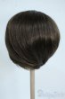 画像2: 9-10inch/ウィッグ Y-26-01-04-126-GN-ZY (2)