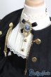 画像4: SDM＆MSD/OF:Antique cape dress S-25-06-01-243-GN-ZS (4)