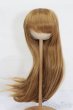 画像1: 9-10inch/ウィッグ S-25-06-01-265-GN-ZS (1)