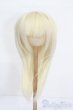 画像1: 9-10inch/ウィッグ S-25-06-01-263-GN-ZS (1)