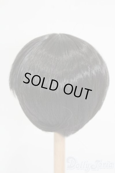 画像2: 7-8inch/ウィッグ S-25-09-07-407-GN-ZS (2)