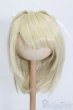 画像1: 8-9inch/ウィッグ S-25-06-08-295-GN-ZS (1)