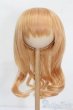 画像1: 8-9inch/ウィッグ S-25-06-15-341-GN-ZS (1)
