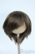 画像1: 8-9inch/ウィッグ Y-25-11-26-102-GN-ZY (1)