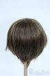 画像2: 8-9inch/ウィッグ Y-25-11-26-102-GN-ZY (2)