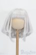 画像1: 8-9inch/ウィッグ S-25-06-29-300-GN-ZS (1)