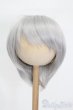 画像1: 8-9inch/ウィッグ S-25-06-29-294-GN-ZS (1)