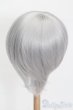 画像2: 8-9inch/ウィッグ S-25-06-29-294-GN-ZS (2)