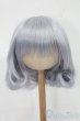 画像1: 8-9inch/ウィッグ S-25-08-03-260-GN-ZS (1)