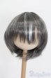 画像1: 8-9inch/ウィッグ S-25-06-29-182-GN-ZS (1)