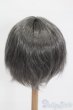 画像2: 8-9inch/ウィッグ S-25-06-29-182-GN-ZS (2)