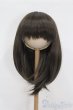 画像1: 9inch/ウィッグ S-25-06-15-225-GN-ZS (1)