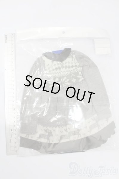 画像2: SD/OF:イヤーマフ・ノルディックセット S-25-08-03-428-GN-ZS (2)