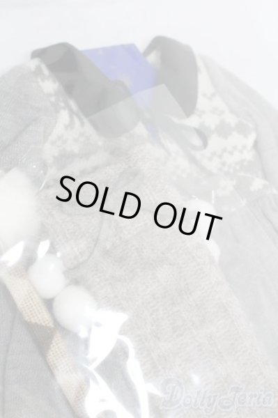 画像3: SD/OF:イヤーマフ・ノルディックセット S-25-08-03-428-GN-ZS (3)